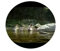 De Chair et d’Écorce_Avignon