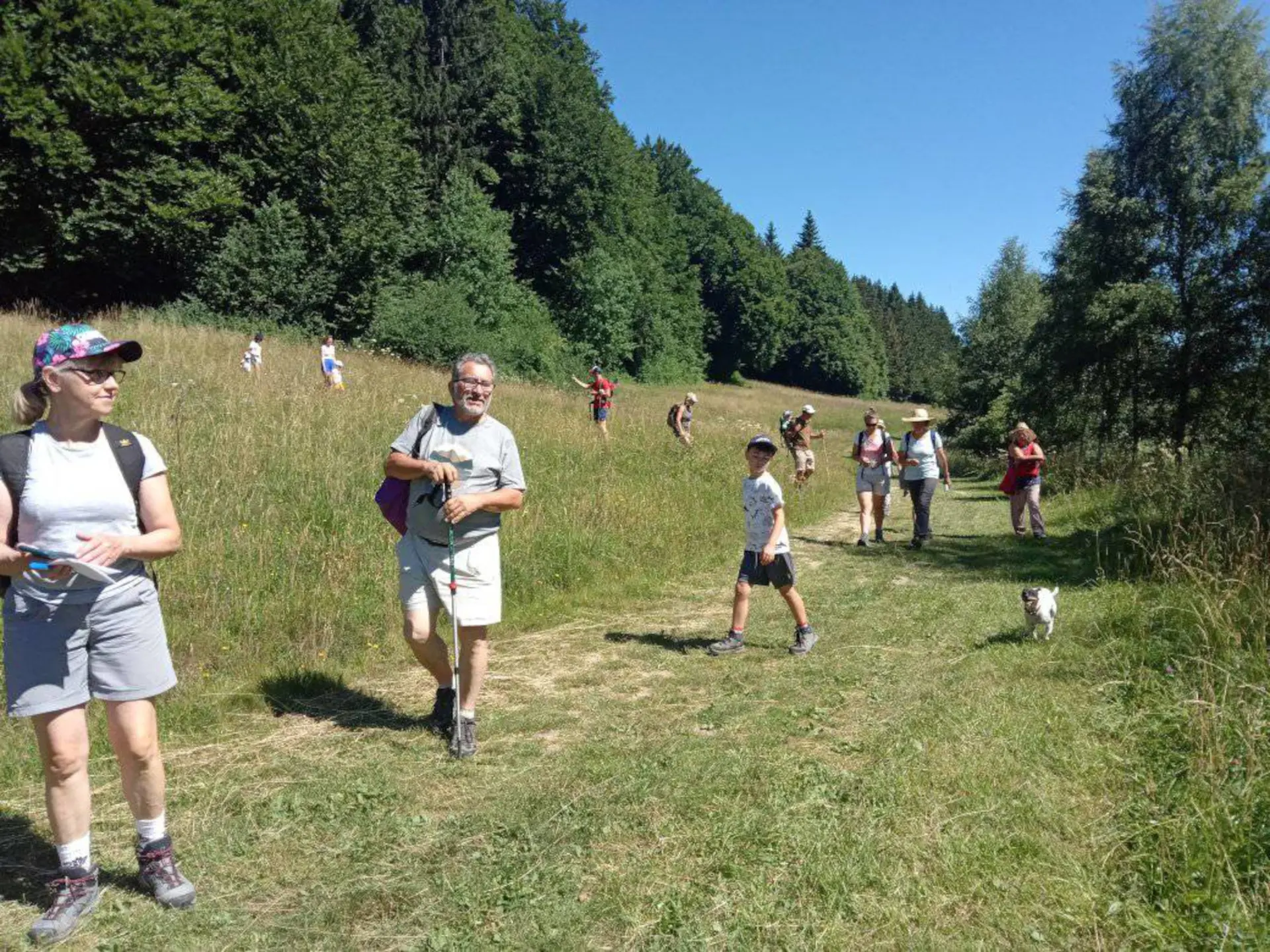Randonnée Florale sur le plateau des Moises_Habère-Poche