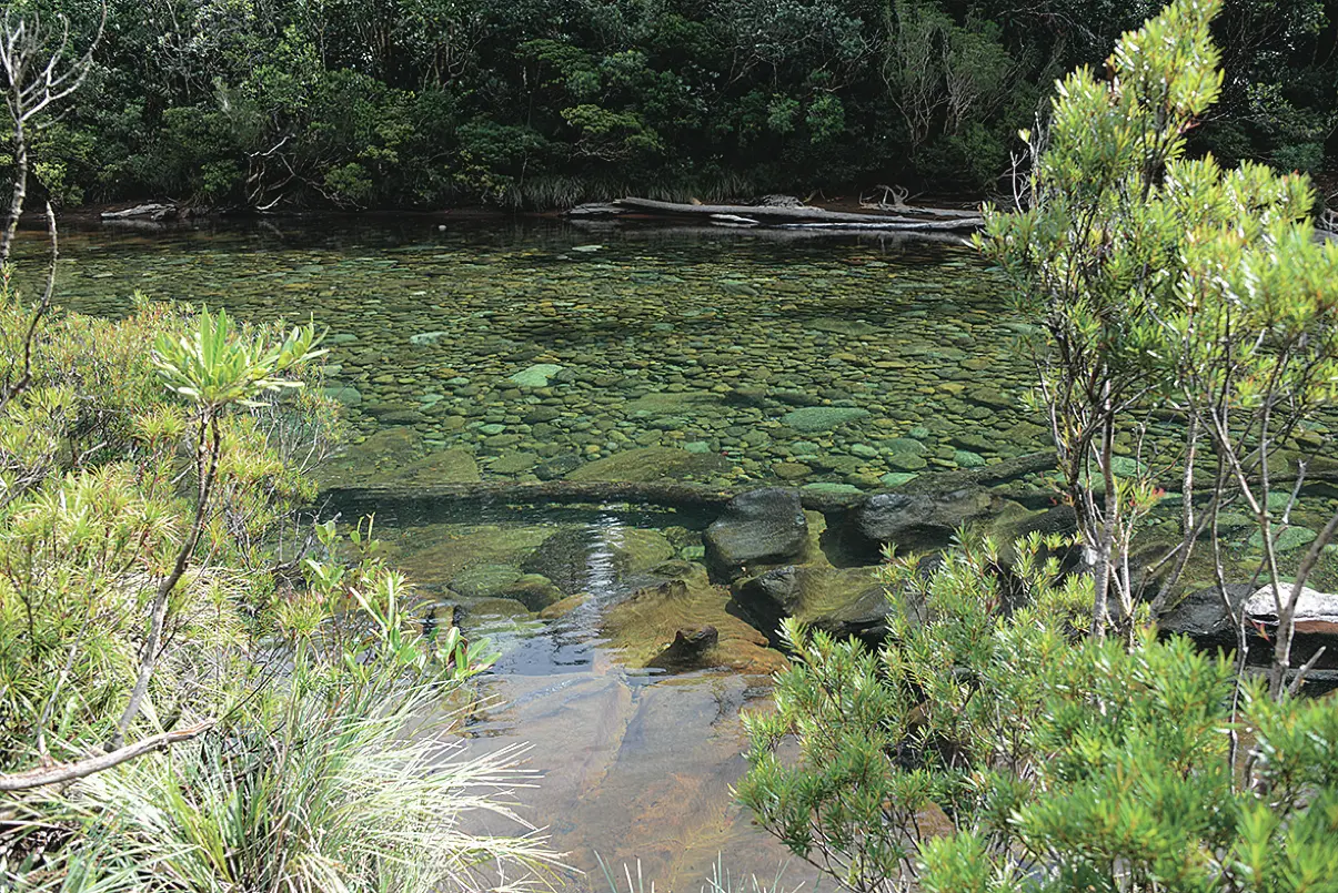 La rivière Bleue