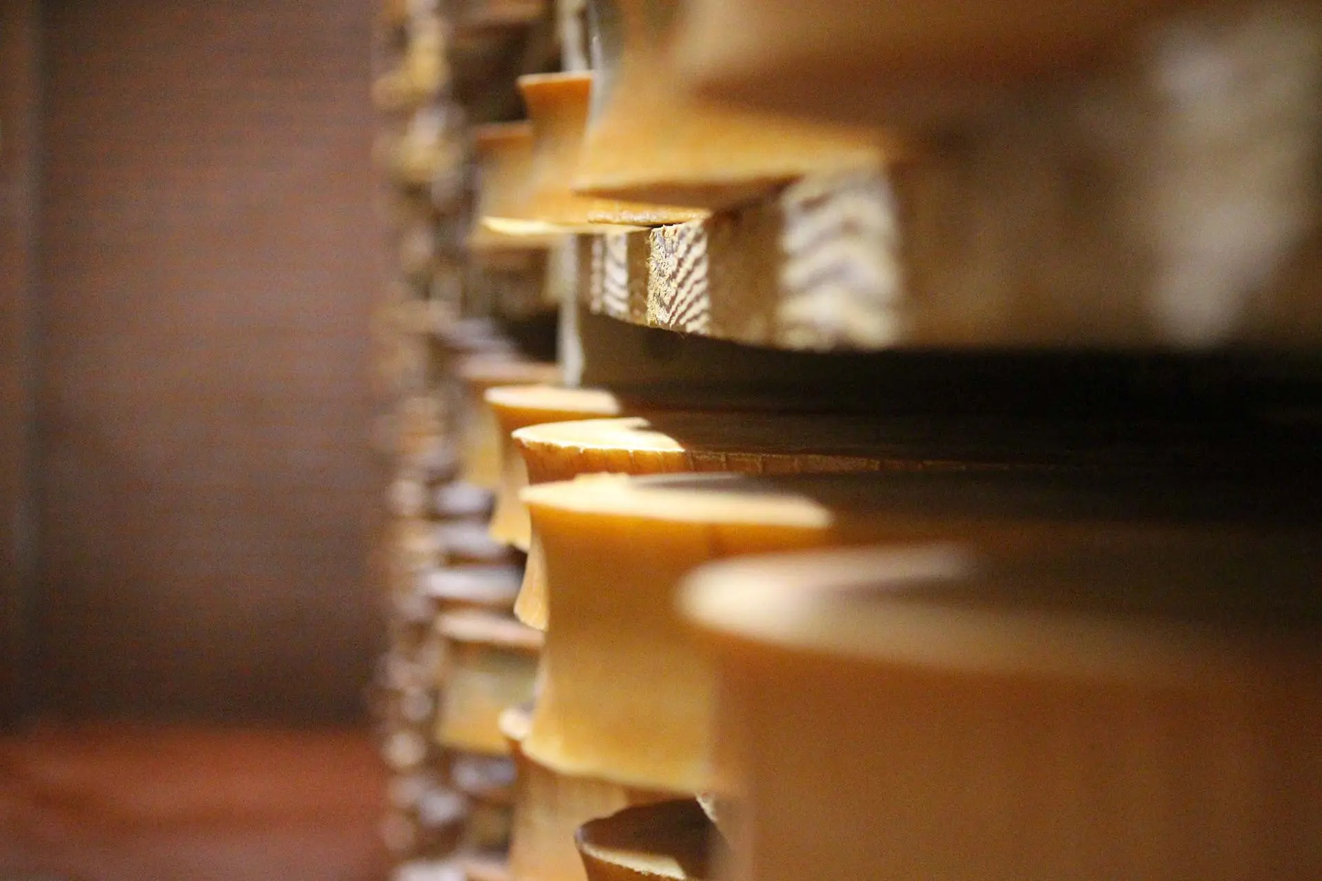 Affinage des fromages