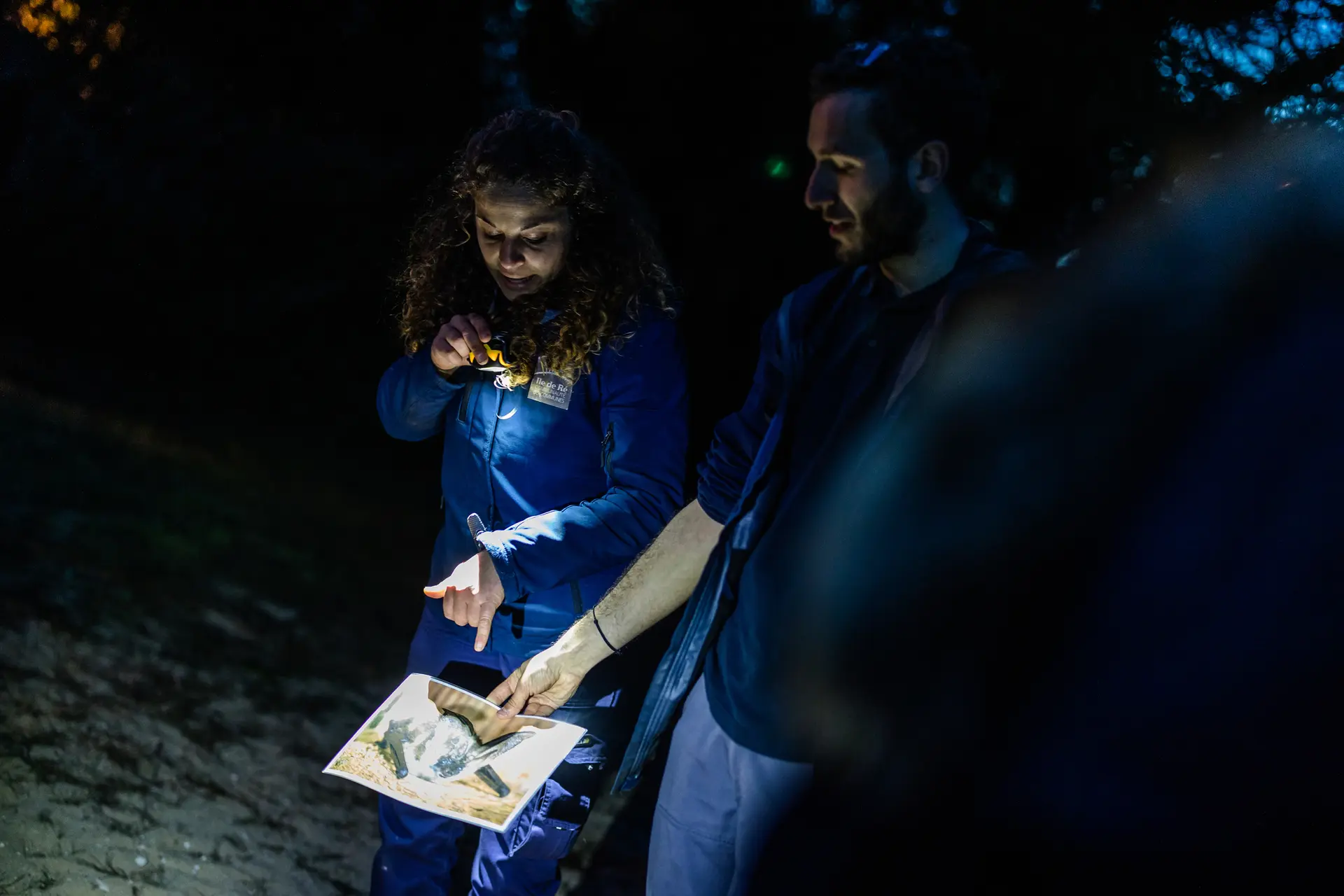 Safari nocturne