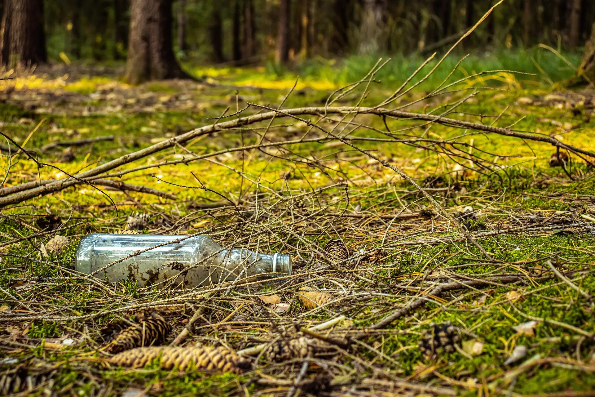 Collecte de déchets à la Faucille