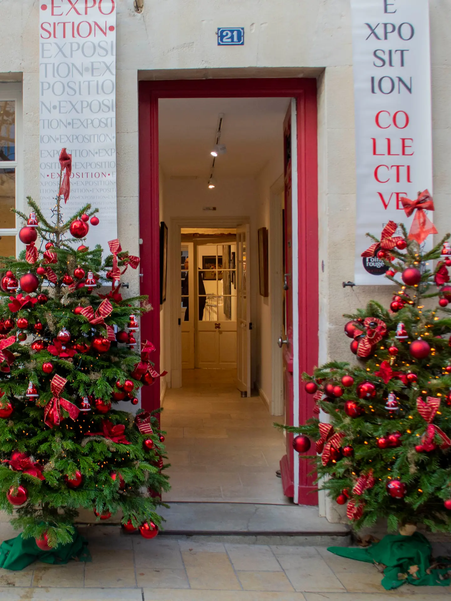 Saint-Remy-de-Provence_aux_couleurs_de_Noel