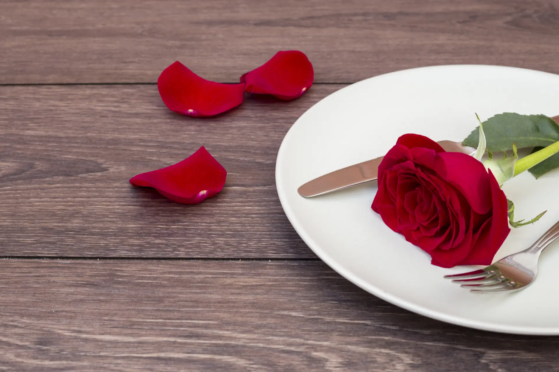 Une rose dans une assiette posée sur une table