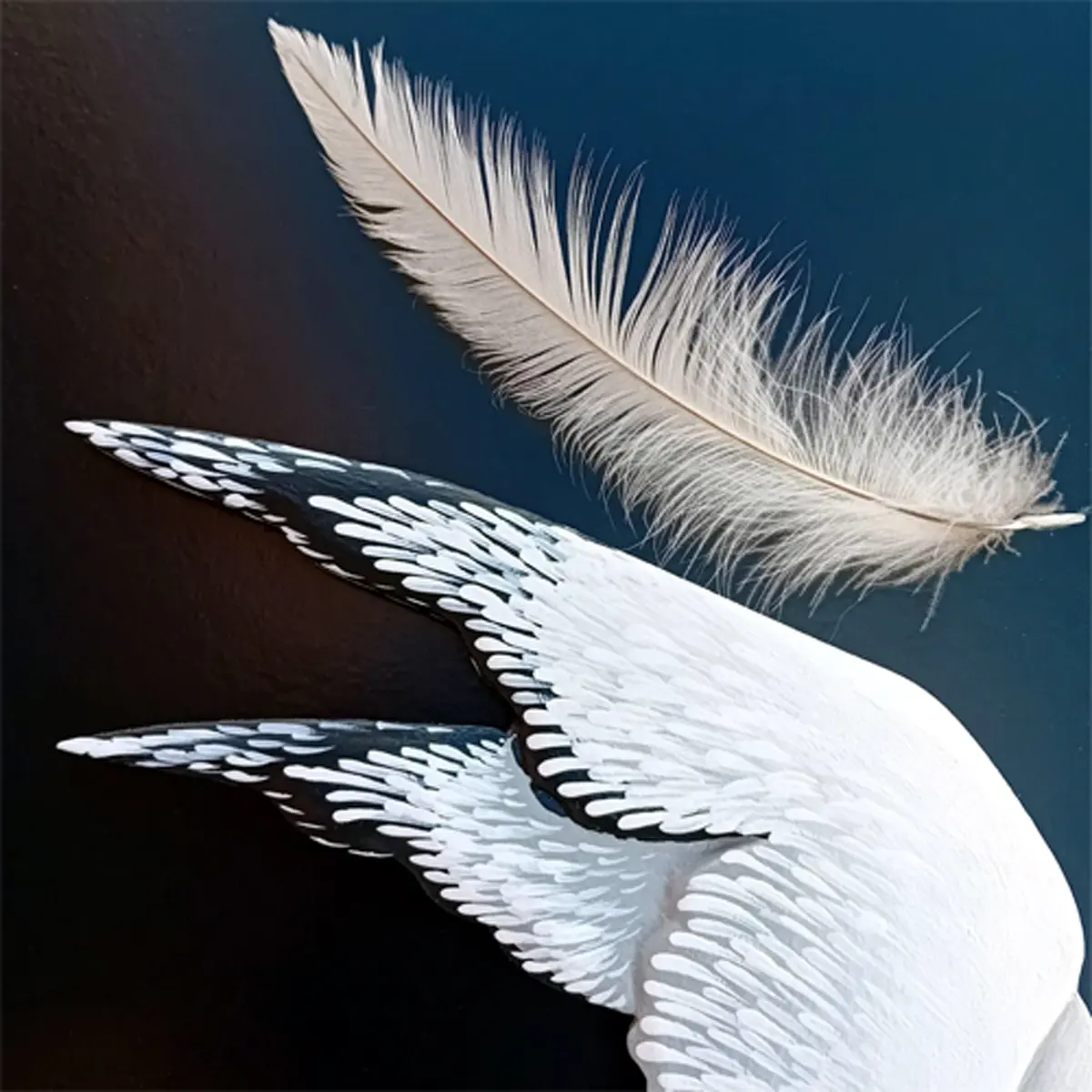 Spectacle La Mouette d'Anton Tchekov au Théâtre du Carré Rond