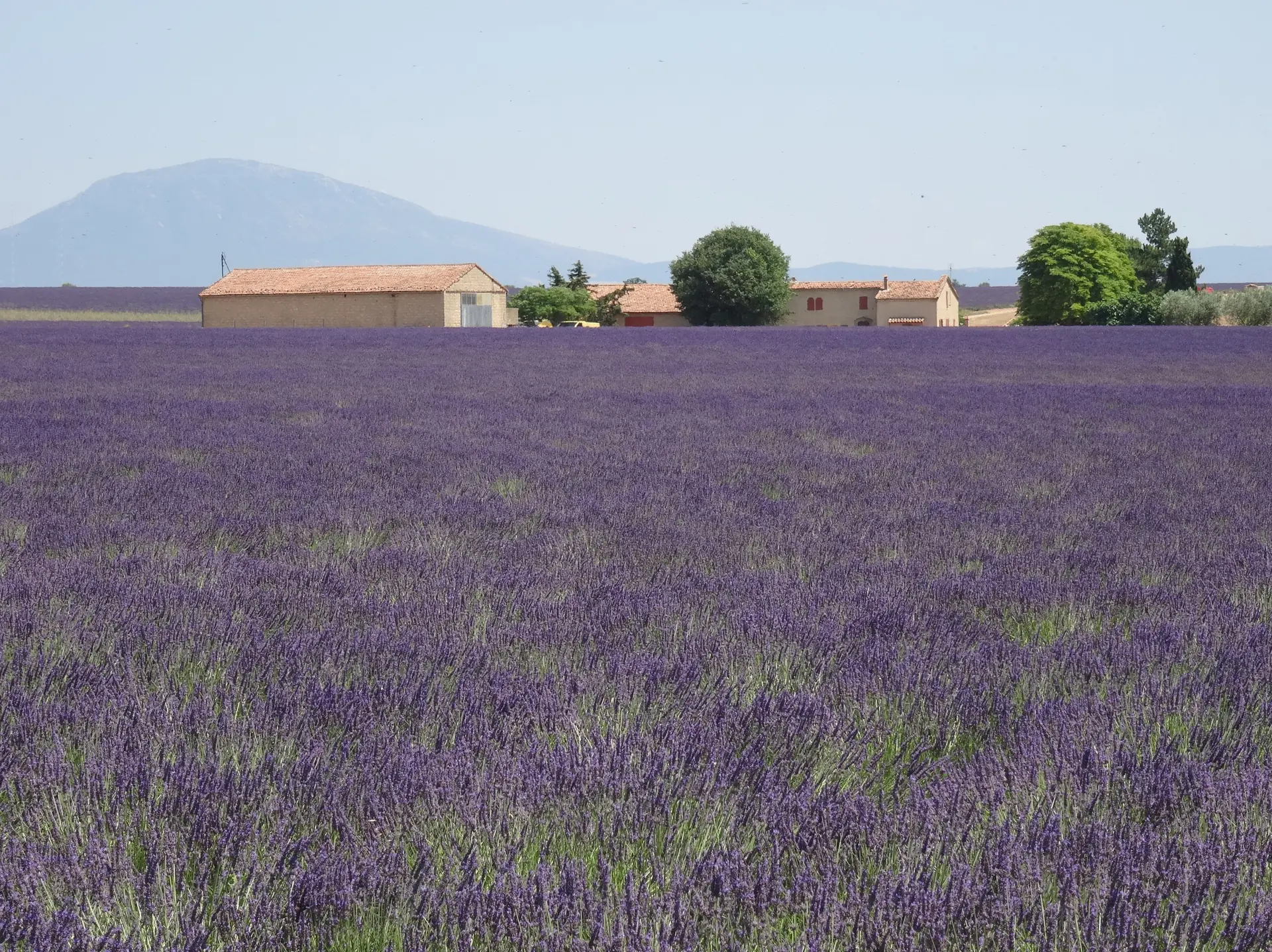 Les conférences environnement en Méditerranée porte des Maures