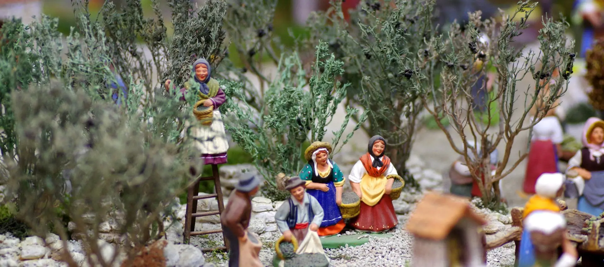 Immersion Tradition : Noël en Provence_Sainte-Maxime
