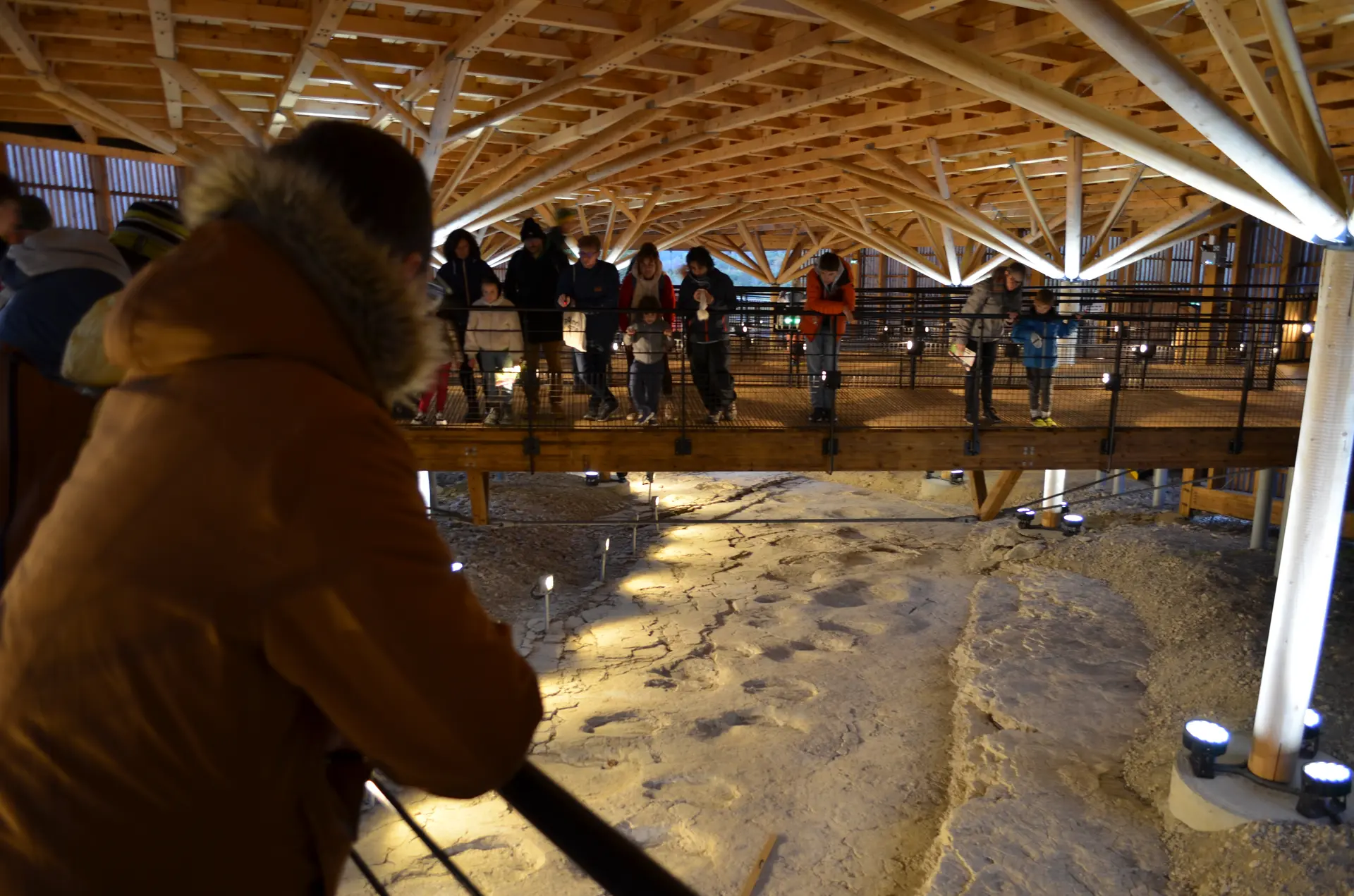 Les nocturnes Dino-astro_Plagne