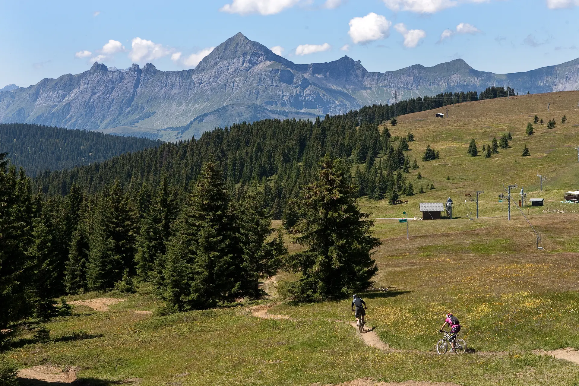 DH VTT - La Coyote