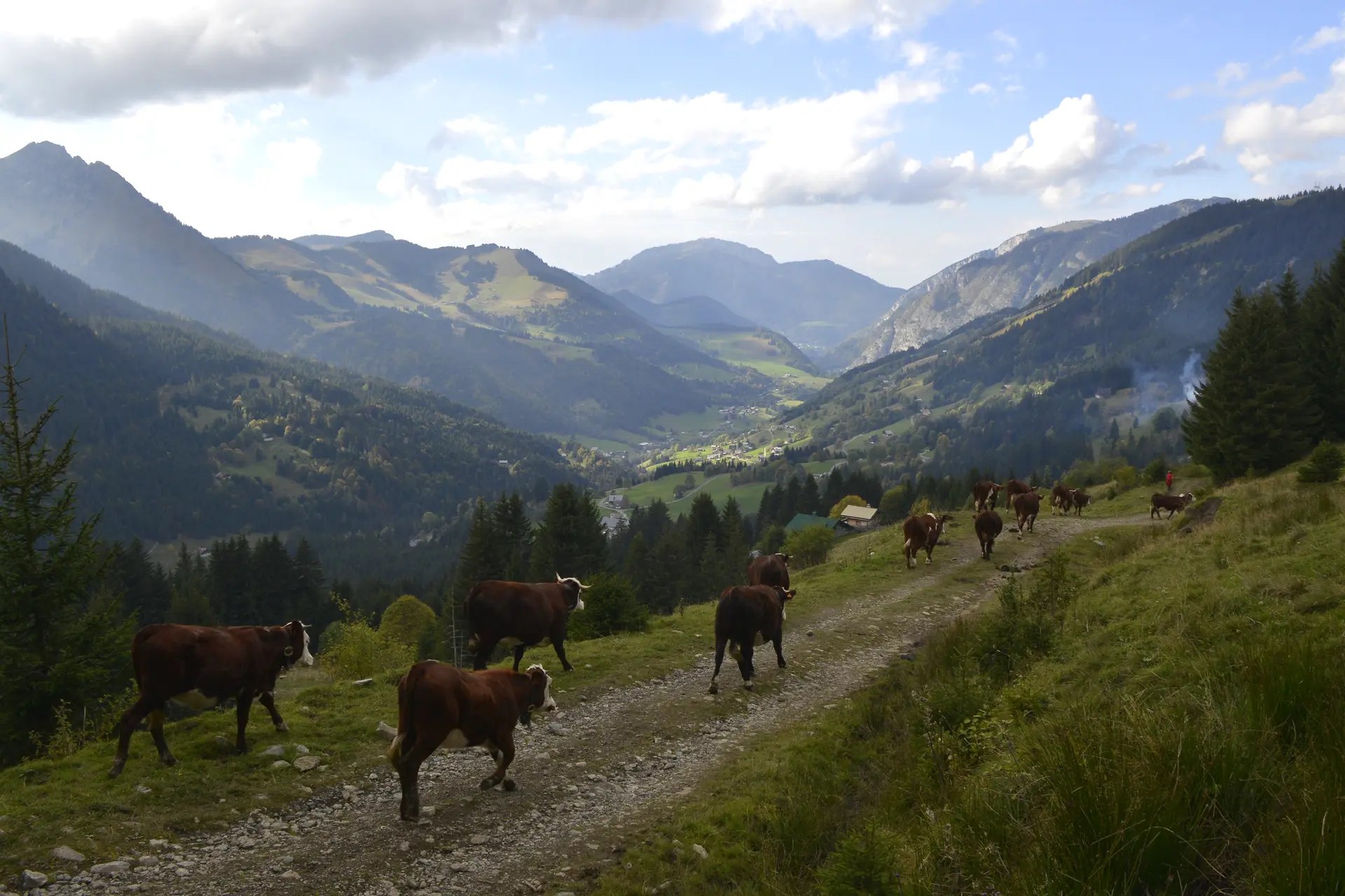 View on Charmy and Abondance