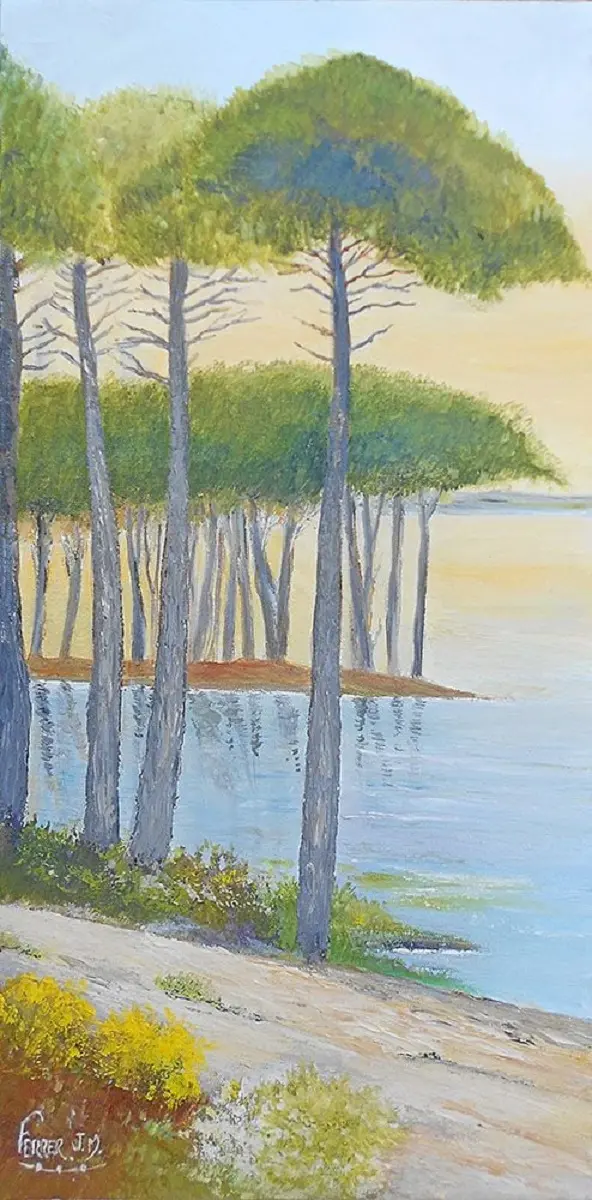 Exposition Lumières du Sud