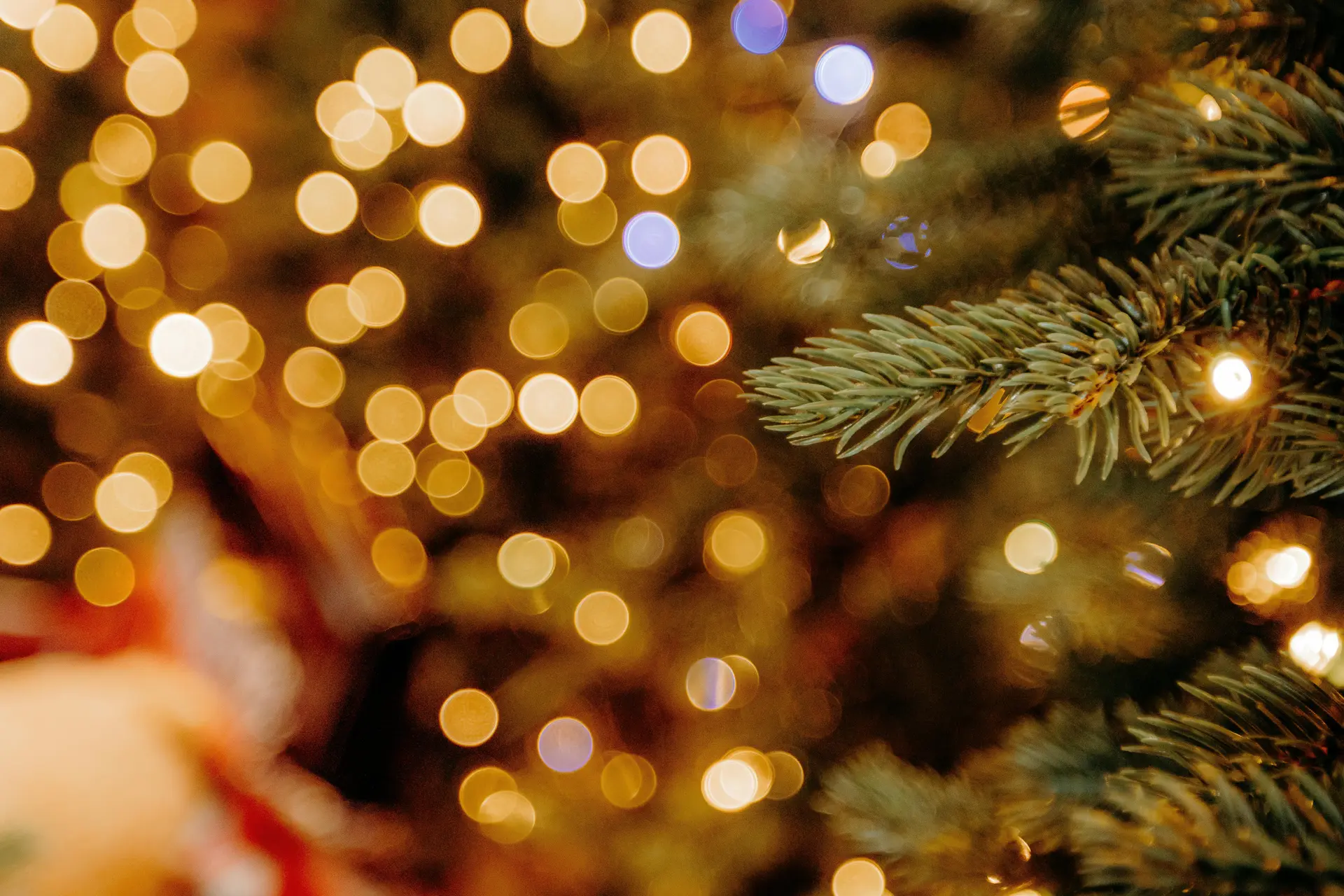 Micro-Folie Hiver & Magie de Noël_Saint-Paul-de-Venc