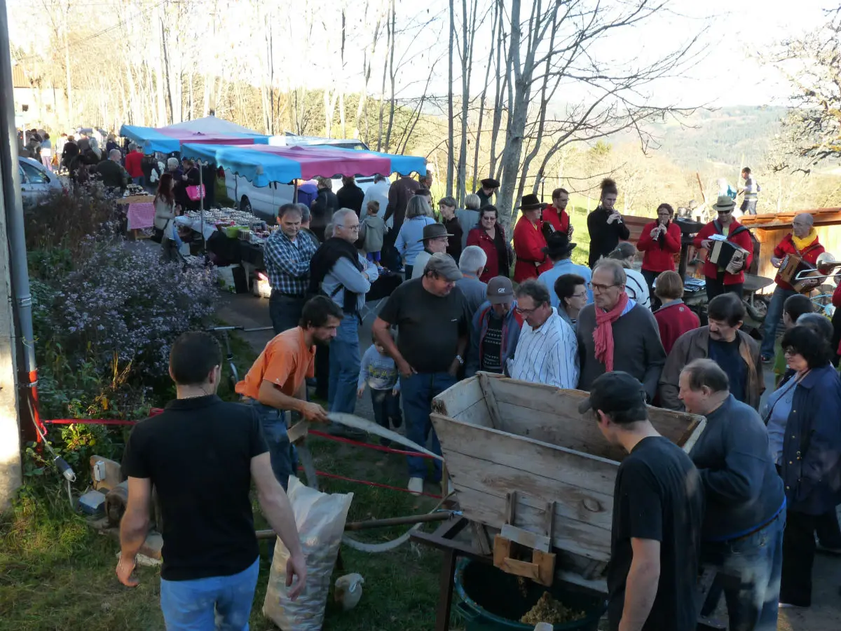 Fête du cidre_Malvières