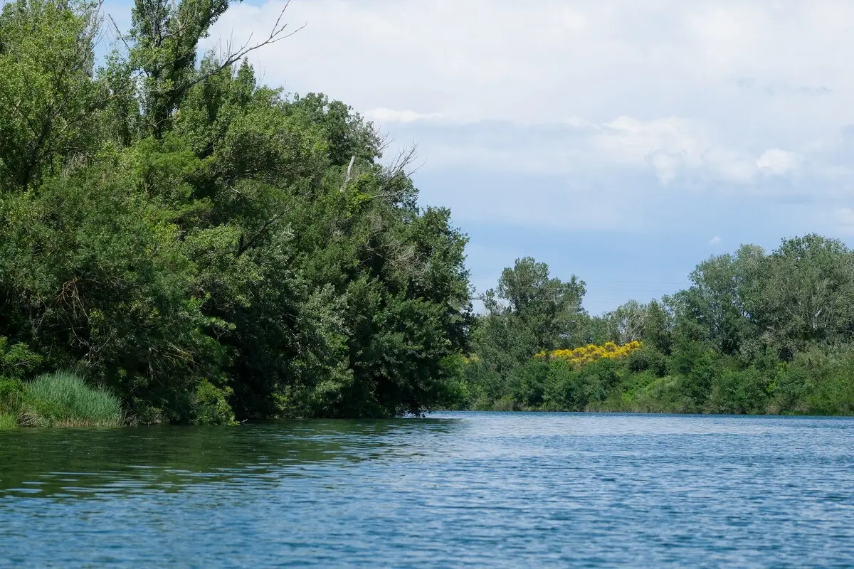 Ile de la Barthelasse