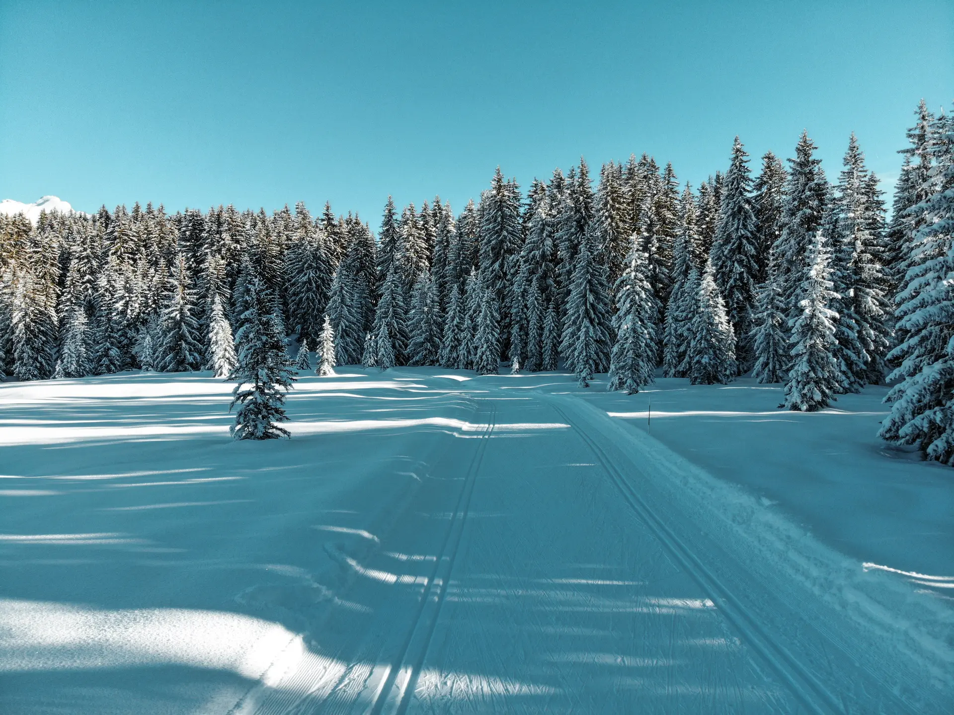 Ski nordique en nocturne_Thônes