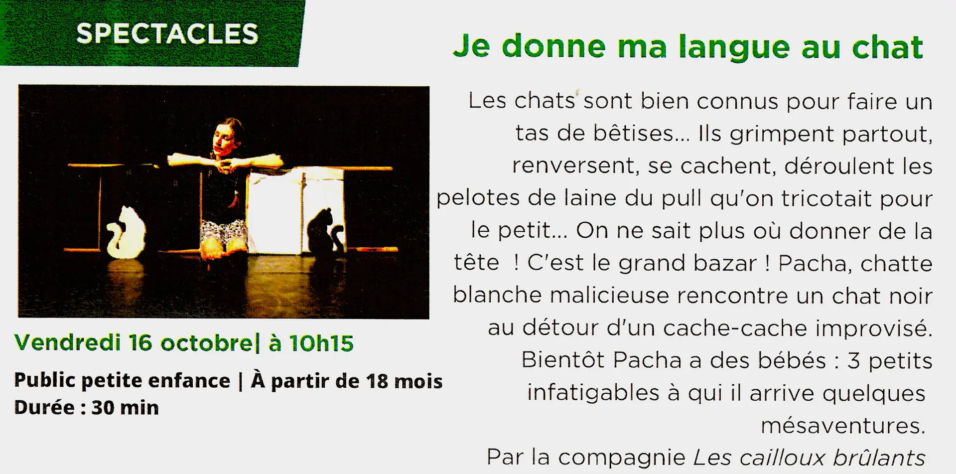 Langue au chat