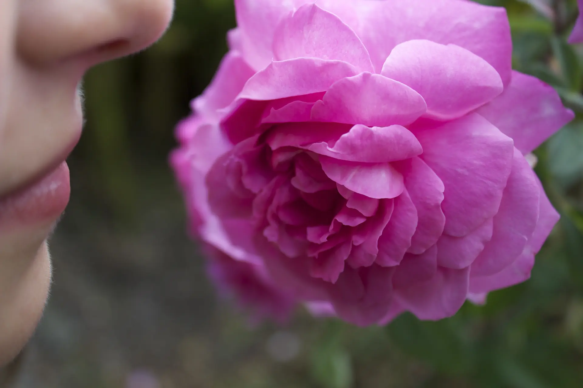Personne sentant une rose