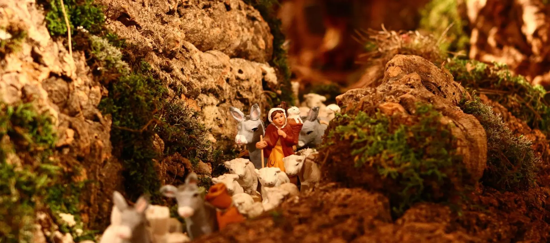 Promenade-découverte : une crèche et 1000 histoires à partager_Sainte-Maxime