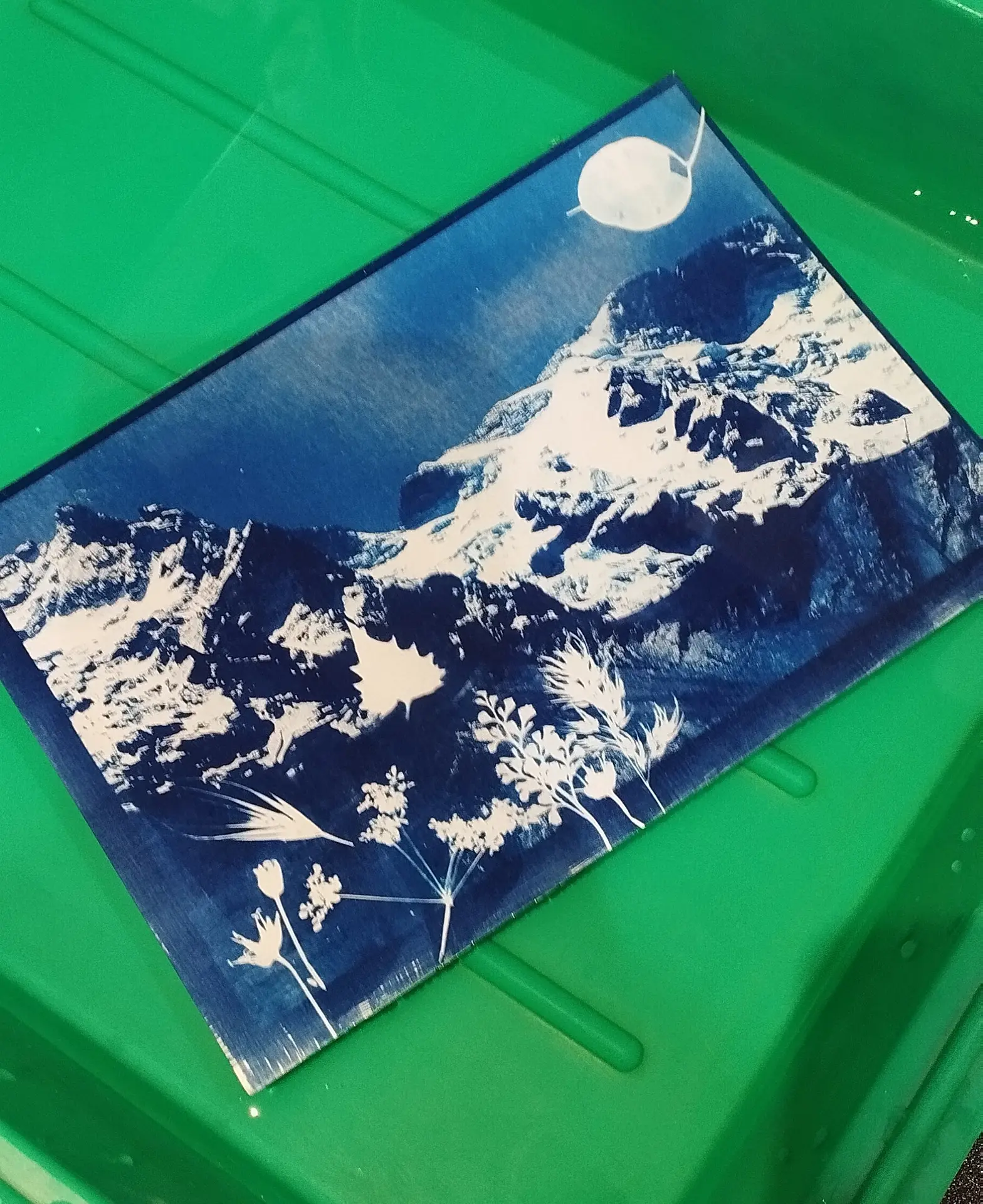 Atelier cyanotype EMBRUN