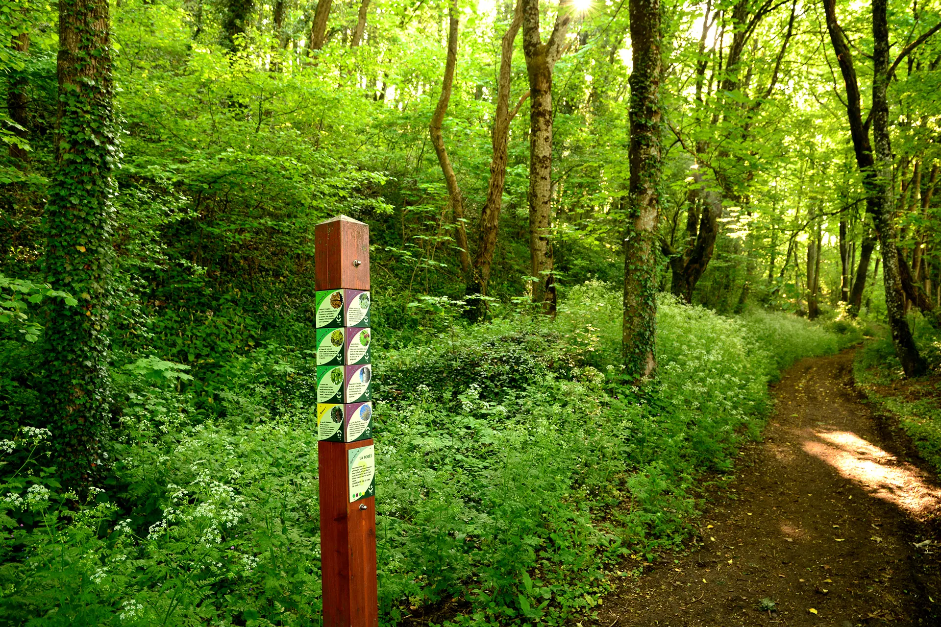 Chemin