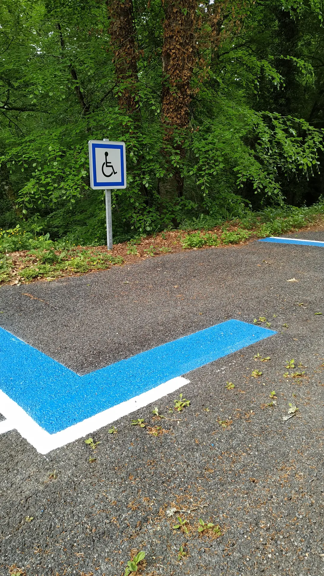 Place handicapée