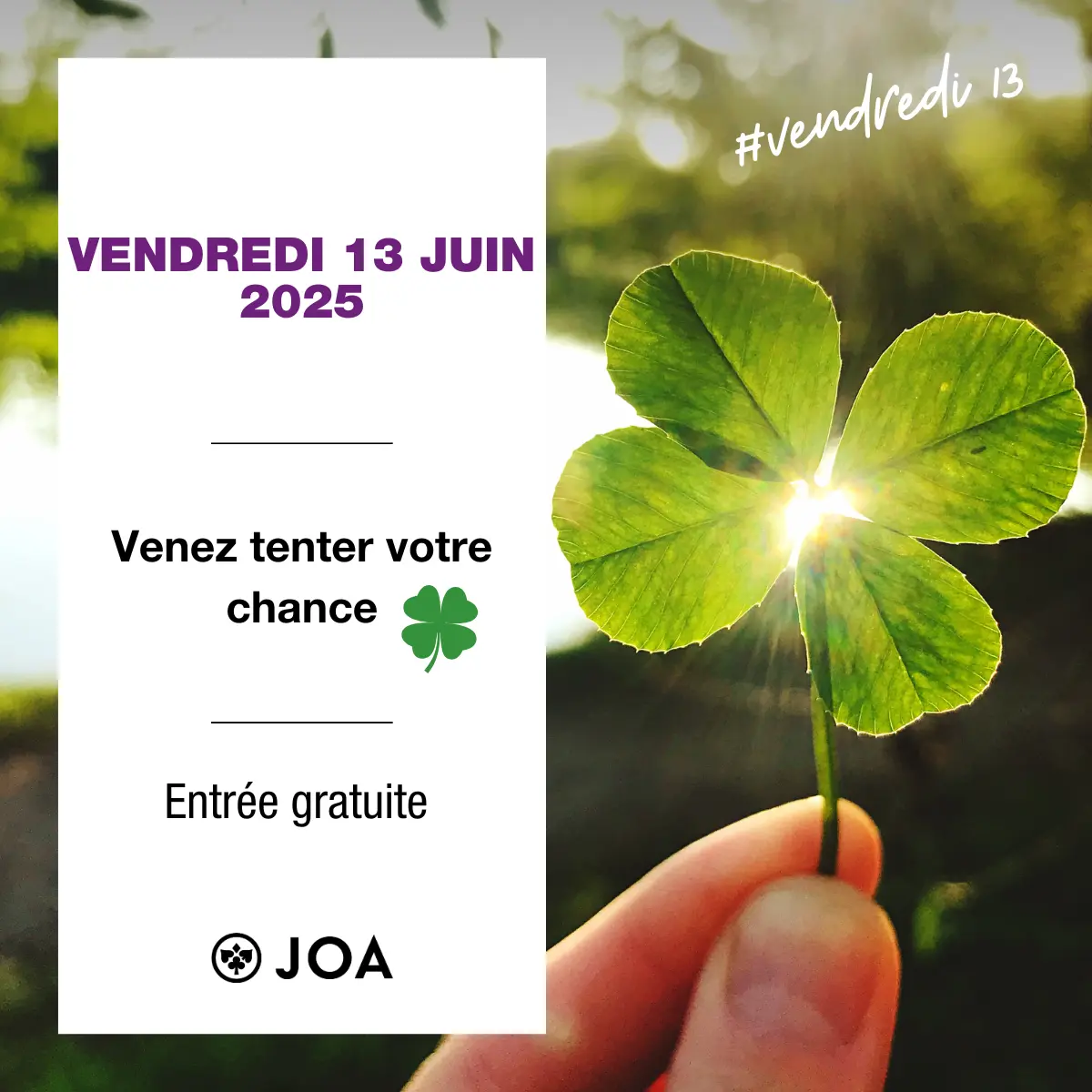 Affiche