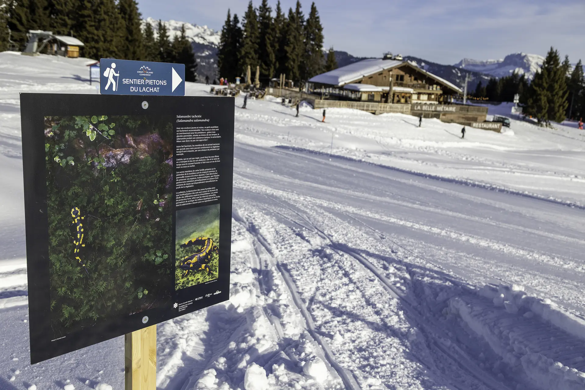 Balade à pied, photos, peinture et Mont-Blanc, c'est L'expo photo au sommet du Lachat