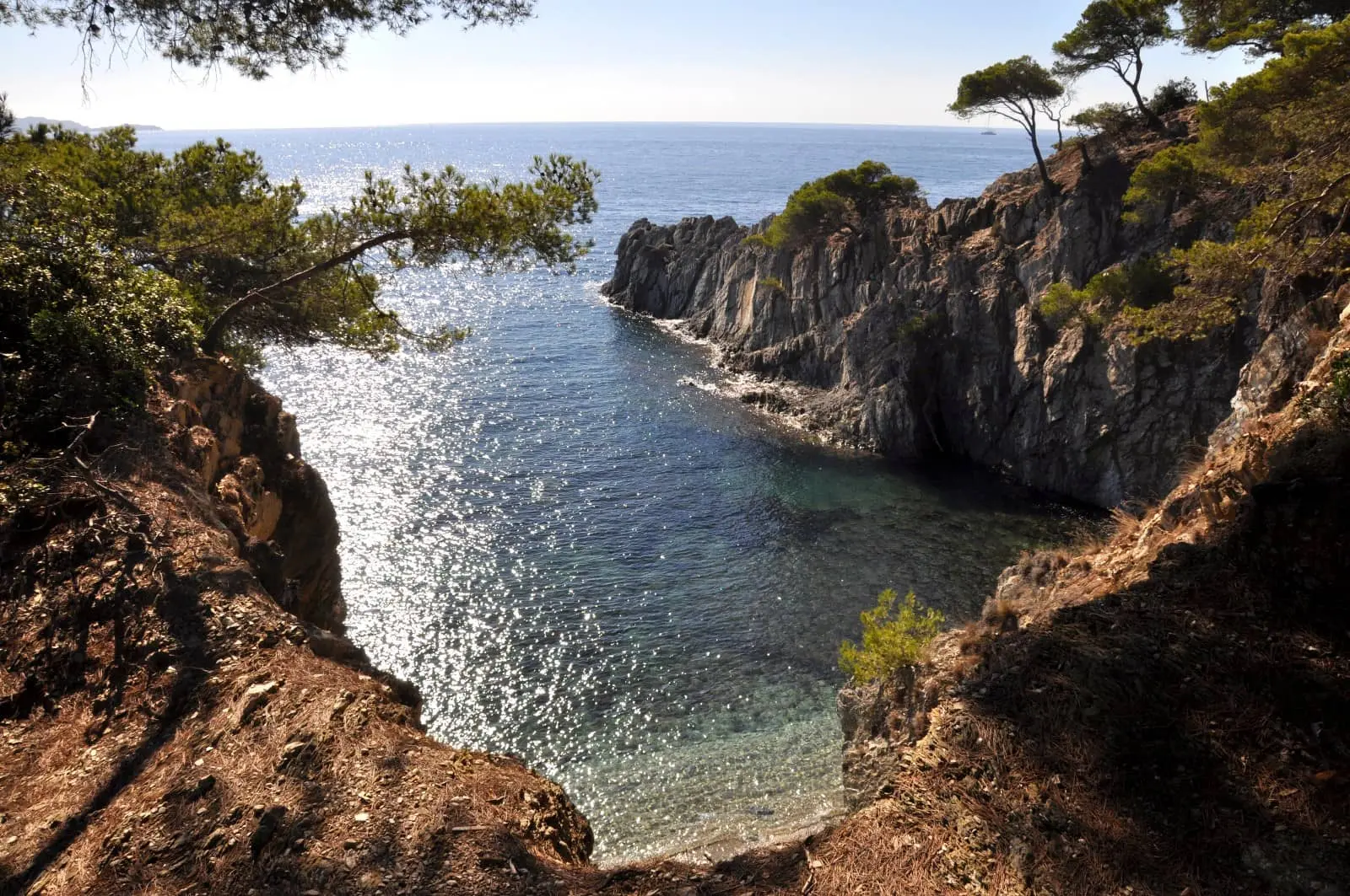 Balade randonnée sur le littoral de giens à la rencontre des oiseaux marins