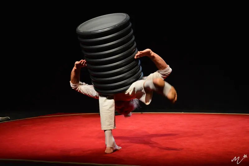 Festival des Arts du cirque : Toyo !- Cirque et musique_Faverges-Seythenex