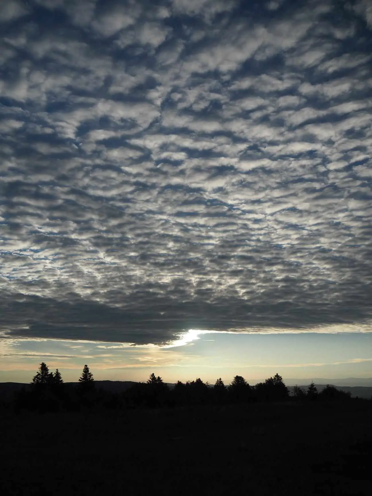 Paysage
