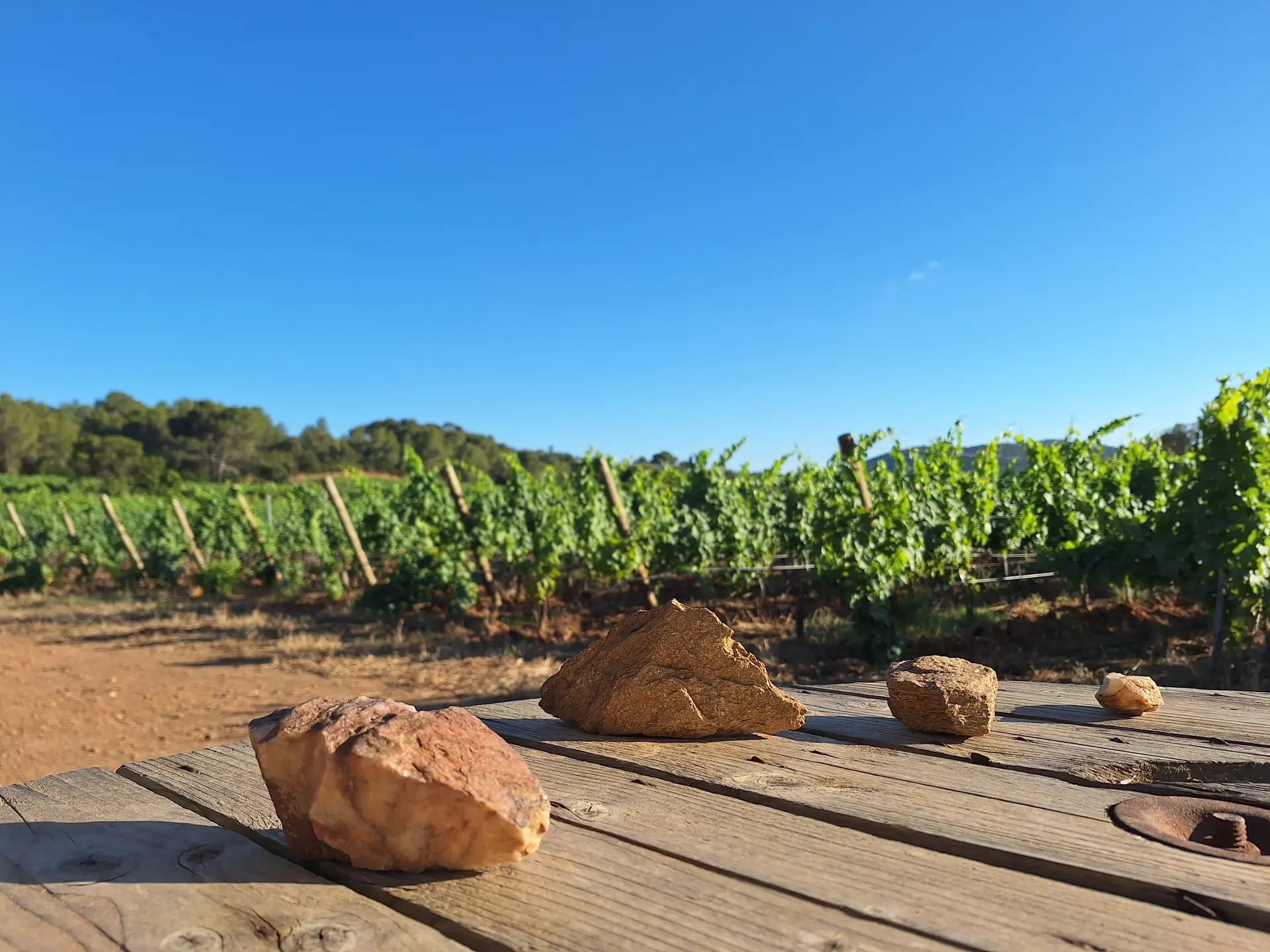Soirée dégustation Domaine de Favanquet - La Londe les Maures