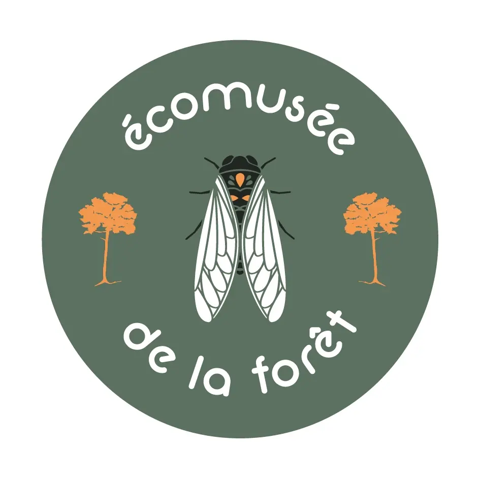 ecomusée de la foret