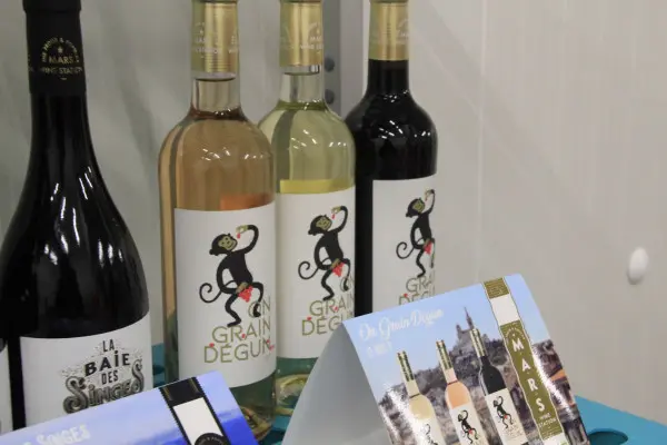 Visite exclusive du M.I.N des Arnavaux