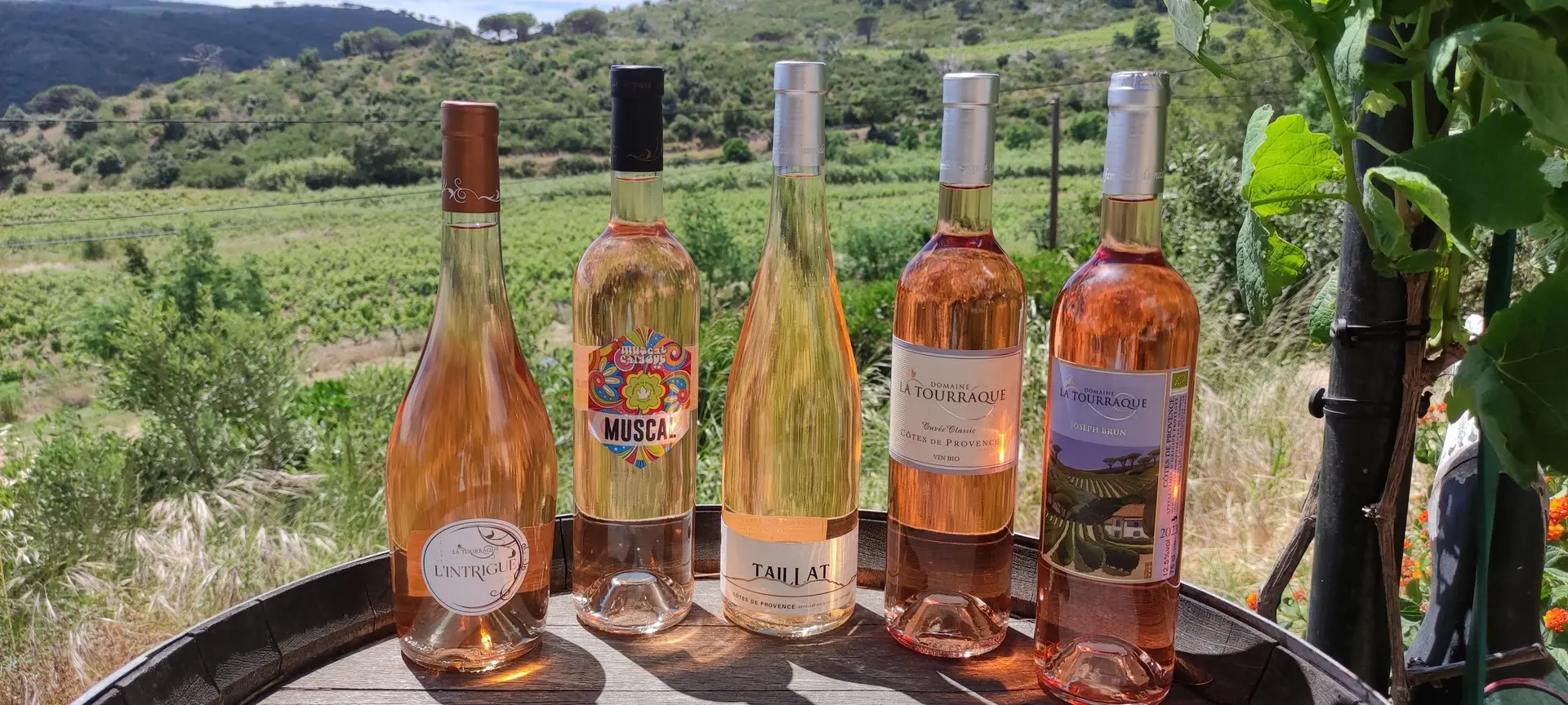 Domaine La Tourraque