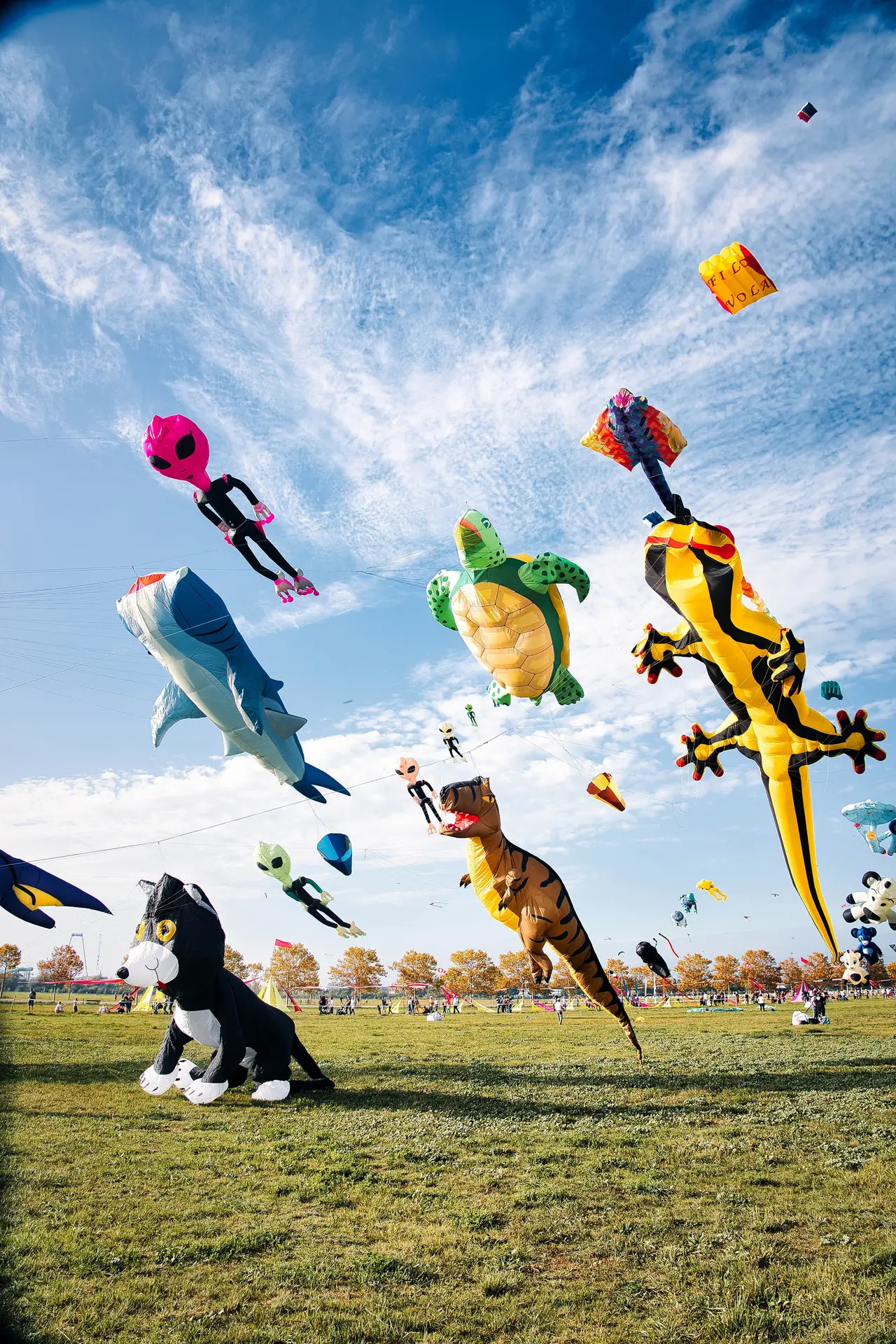 Festival International de l'Air