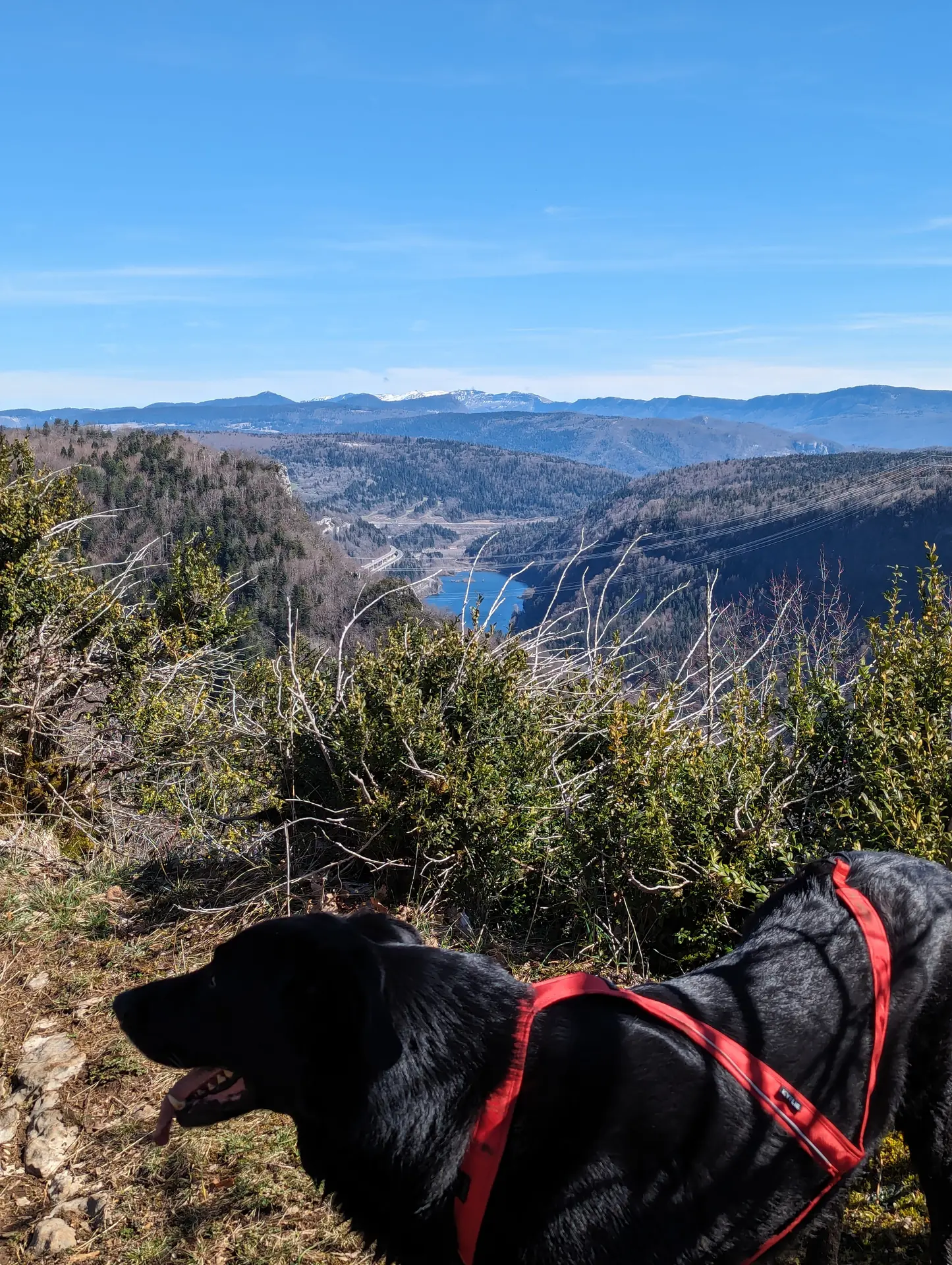 La Roche Merveilleuse