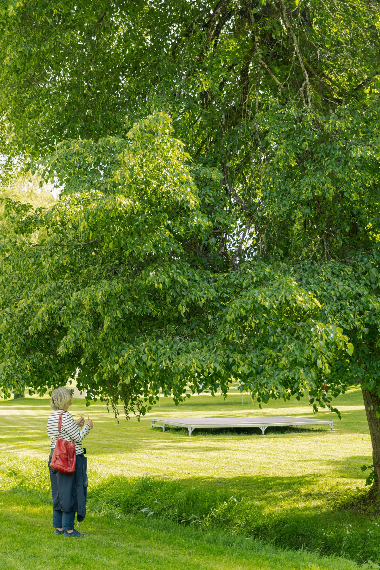 Femme avec des baguettes de sourcier devant un grand arbre dans un parc.