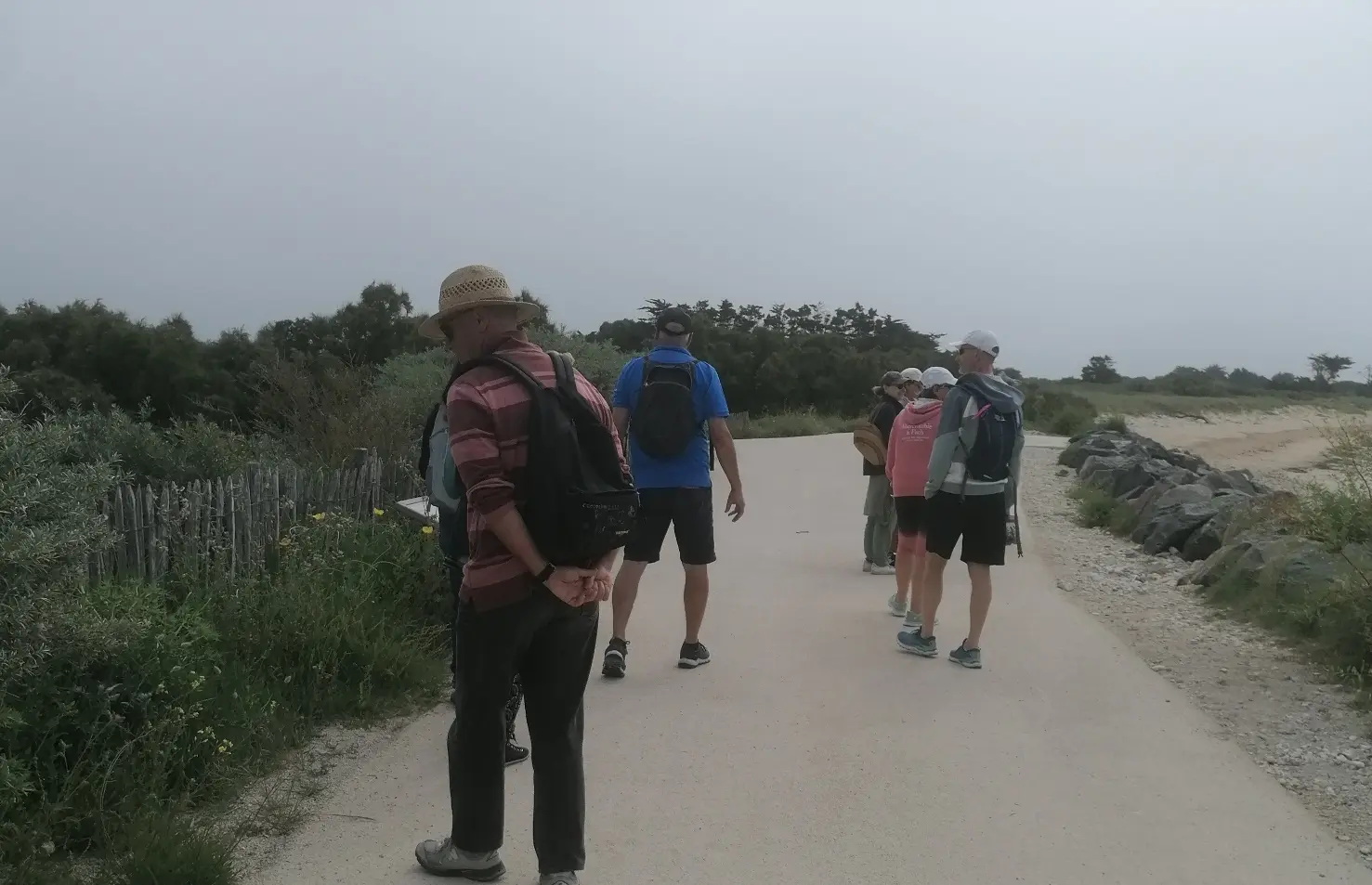 A la découverte des plantes sauvages_La Couarde-sur-Mer 2