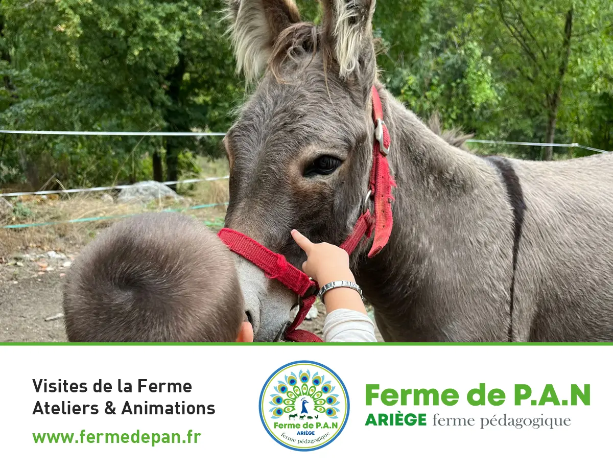 Ferme de P.A.N.