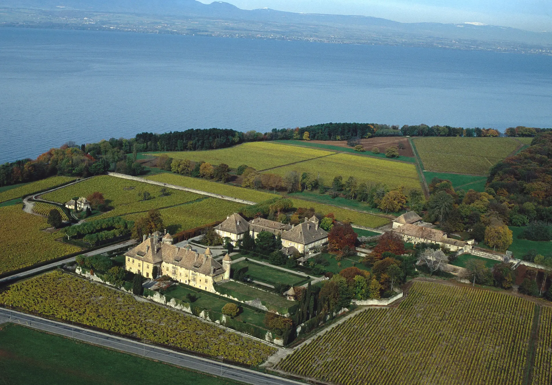Vue aérienne du château de Ripaille et ses vignobles