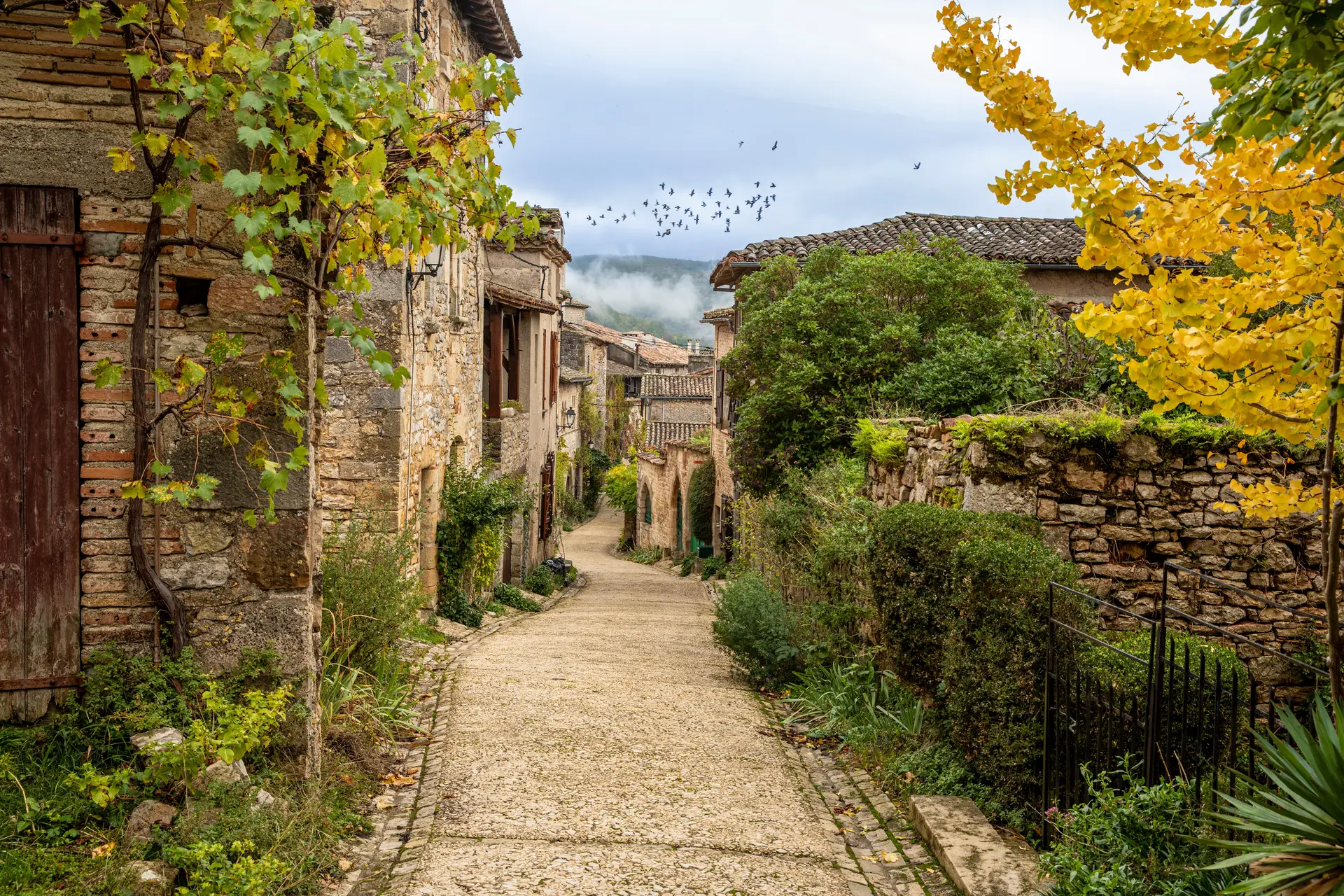 Village de Bruniquel