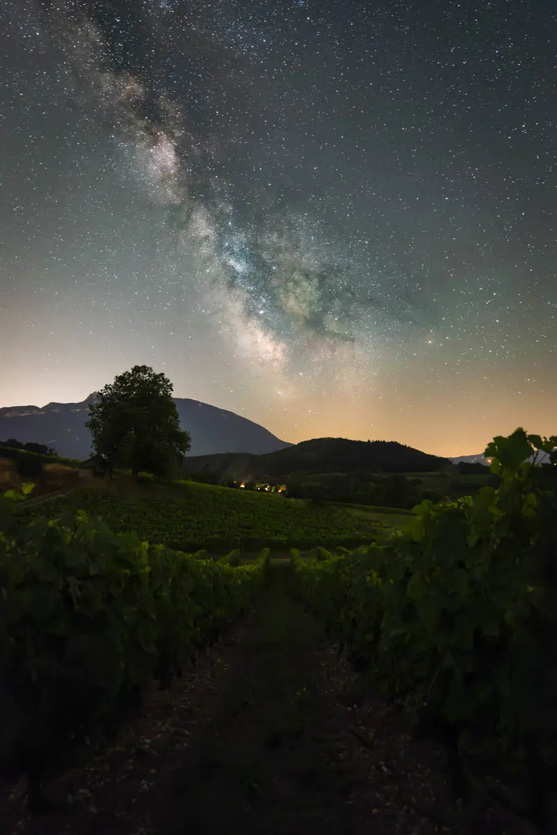A la croisée des vins et des étoiles_