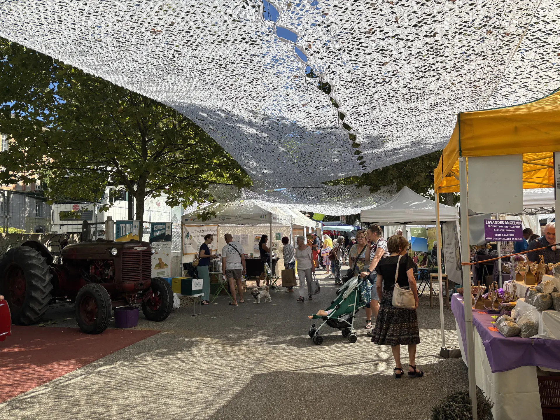 Foire de la lavande 2025