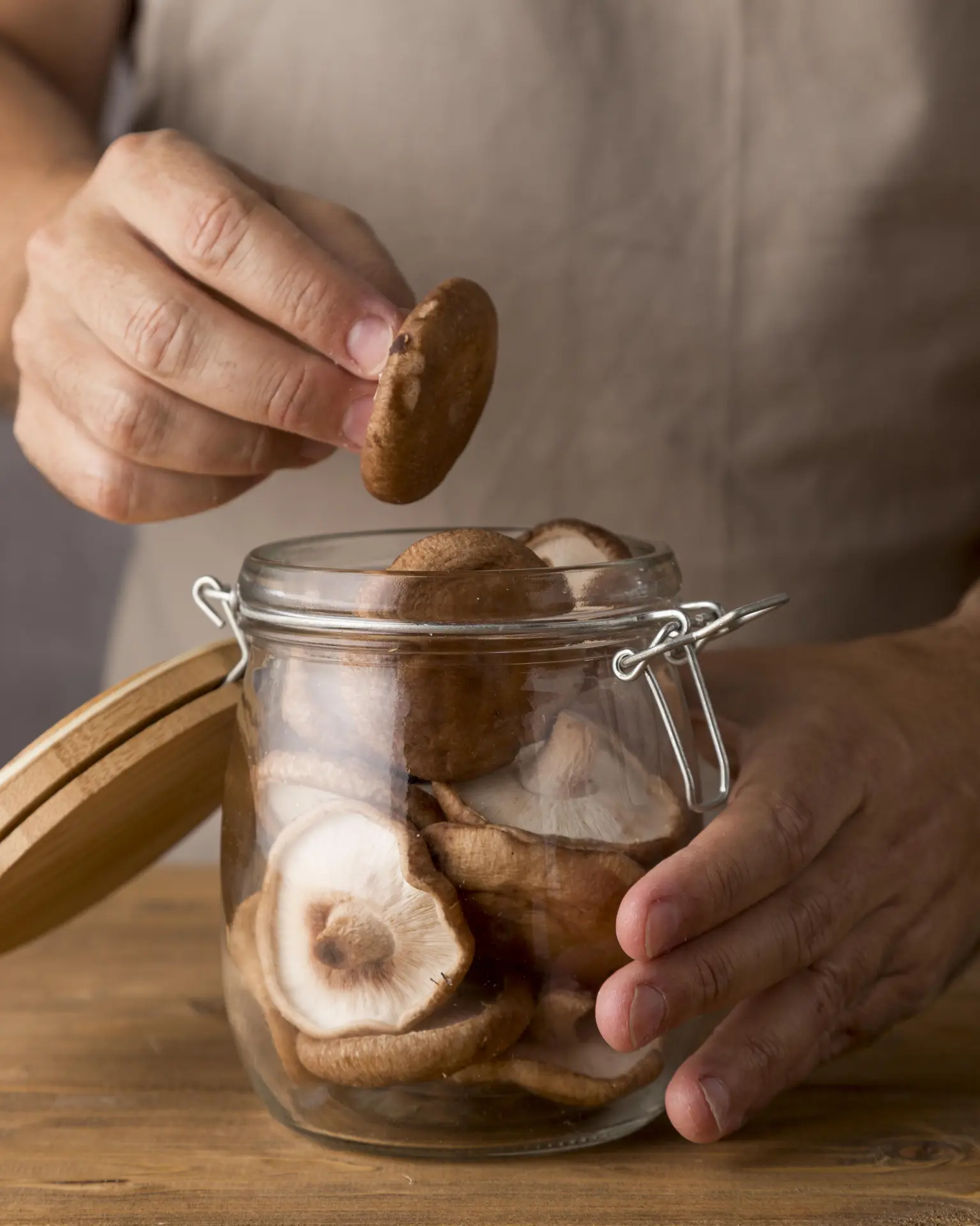Initiation à la culture et fabrication d'un kit pour la maison