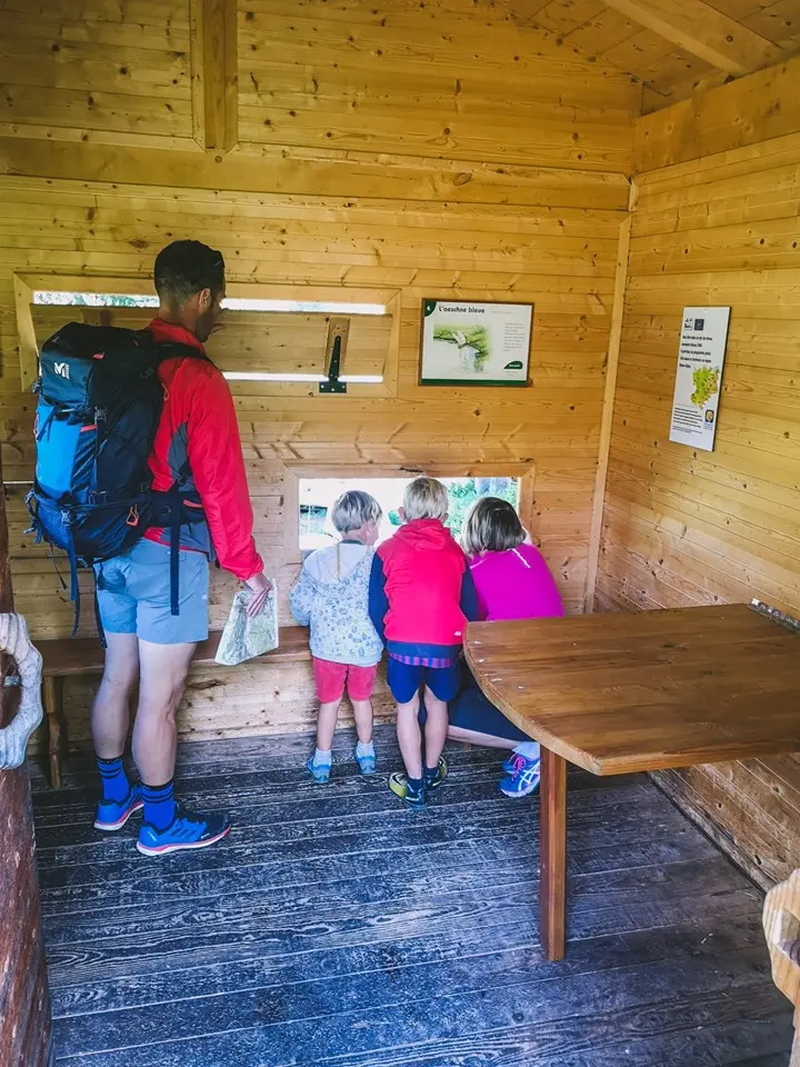 Sentier des Arpelières - Découverte d'une véritable tourbière préservée