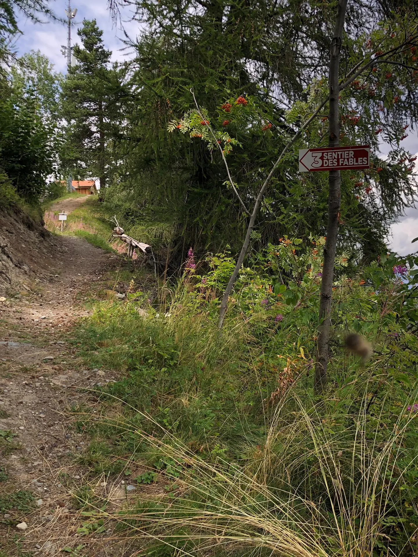 sentier des fables