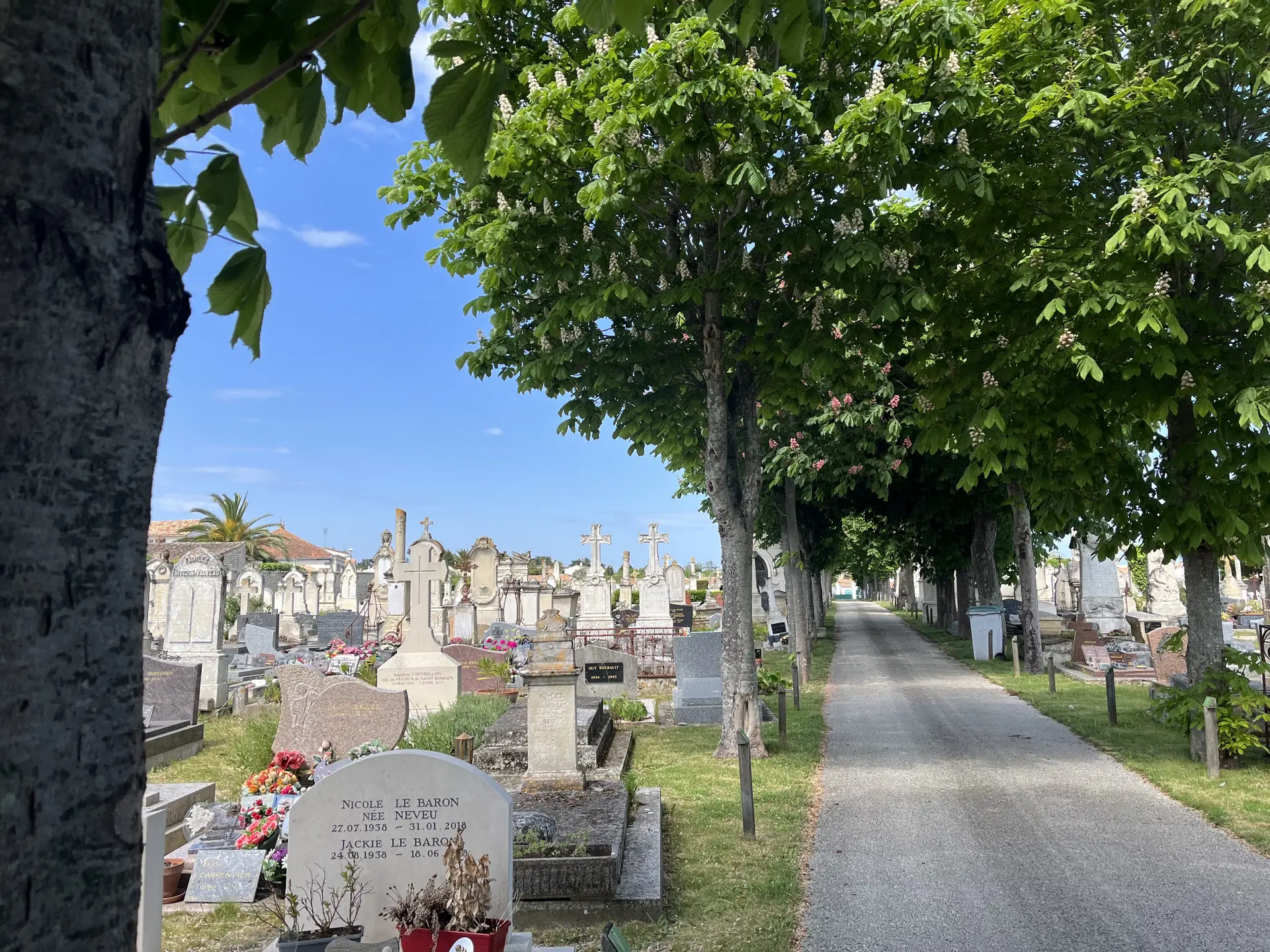 Visite du cimetière de La Flotte