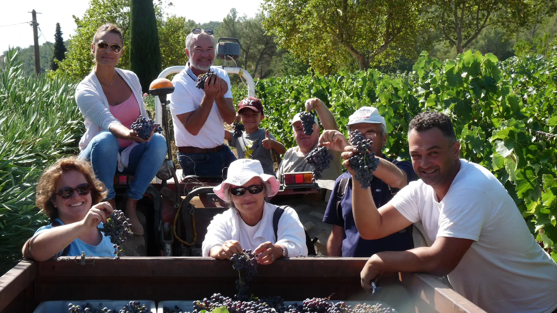Journée découverte des vendanges au Château Pas du Cerf à La Londe