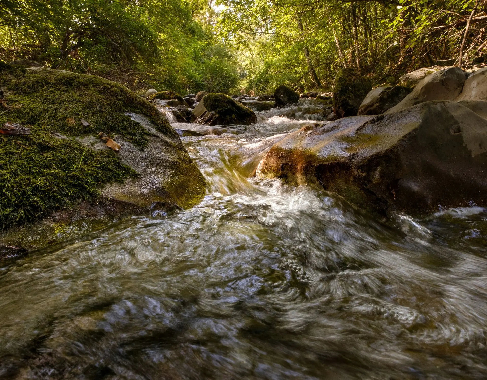 rivière en automne