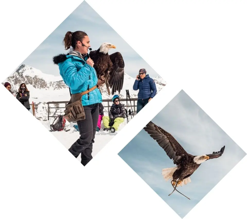 Photo paysage - Les Aigles de Val d’Isère